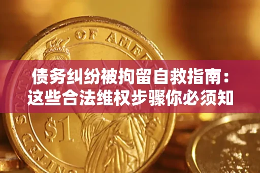 济南债务纠纷被拘留自救指南：这些合法维权步骤你必须知道！