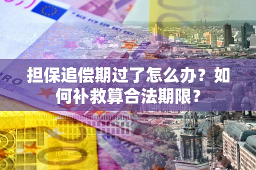 济南担保追偿期过了怎么办？如何补救算合法期限？