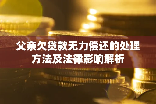 济南父亲欠贷款无力偿还的处理方法及法律影响解析