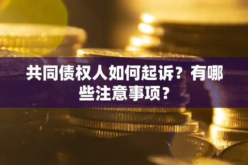 济南共同债权人如何起诉？有哪些注意事项？